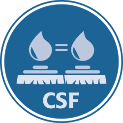 CSF - Állandó megoldási folyamat